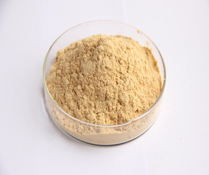 Sugar sostituto Luo Han Guo estratto 80% Mogrosides / Monk Furit 25% Mogroside V