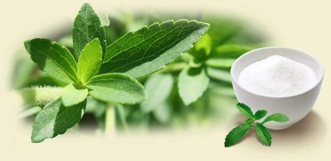 Organici Brasil Stevia